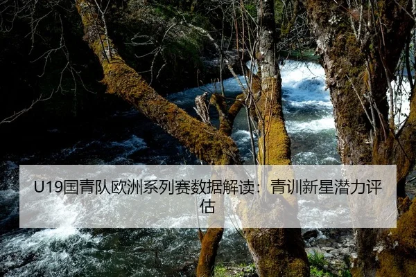 guo-qing-dui-ou-zhou-xi-lie-sai-shu-ju-jie-du-qing-xun-xin-xing-qian-li-ping-gu-2-310.jpg